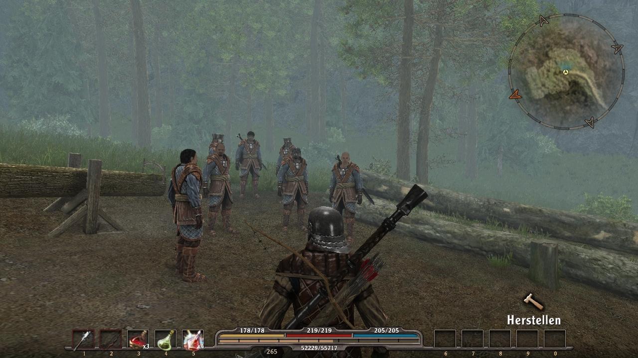 [18/10/2010] Die Soldaten der Silberseeburg sind zum Spielball der Orks geworden. In glänzenden Rüstungen hacken die Feiglinge nun Holz für die Pelzträger. 