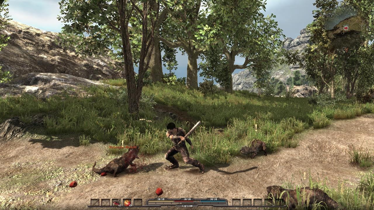 [12/10/2010] Für RPG-Fans in Europa geht kein Weg an der Gothic-Serie vorbei. Zwar hat diese Serie seine Blütezeit bereits hinter sich, jedoch macht das Spiel von den Essener (zu Beginn der Serie noch Bochumer) Softwarefirma Piranha Bytes noch immer was her. Arcania: A Gothic Tale wurde - ähnlich wie Gothic 3: Götterdämmerung - nicht mehr von Piranha Bytes entwickelt. 