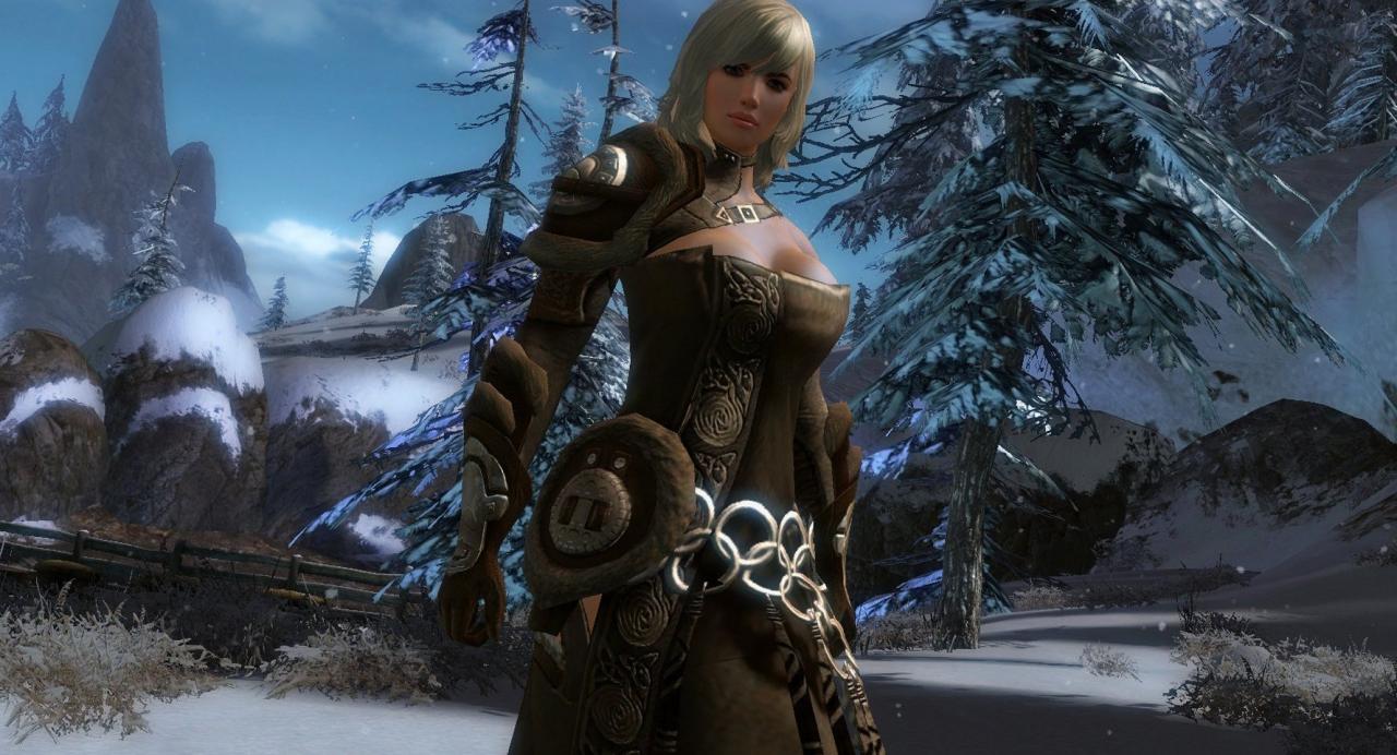 [23/10/2010] Guild Wars 2