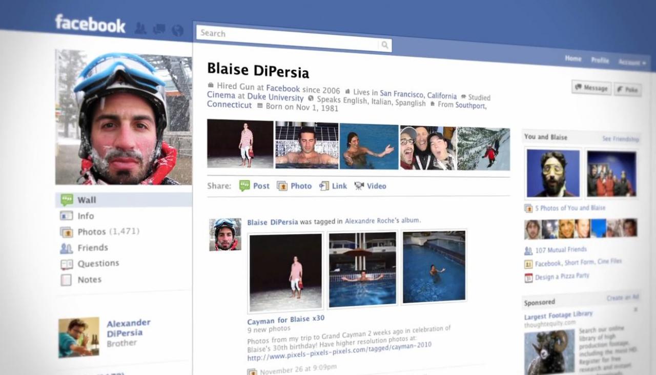[06/12/2010] Facebook: Die Vorhersehbarkeit der Posts - LeserNews von Posthalter.