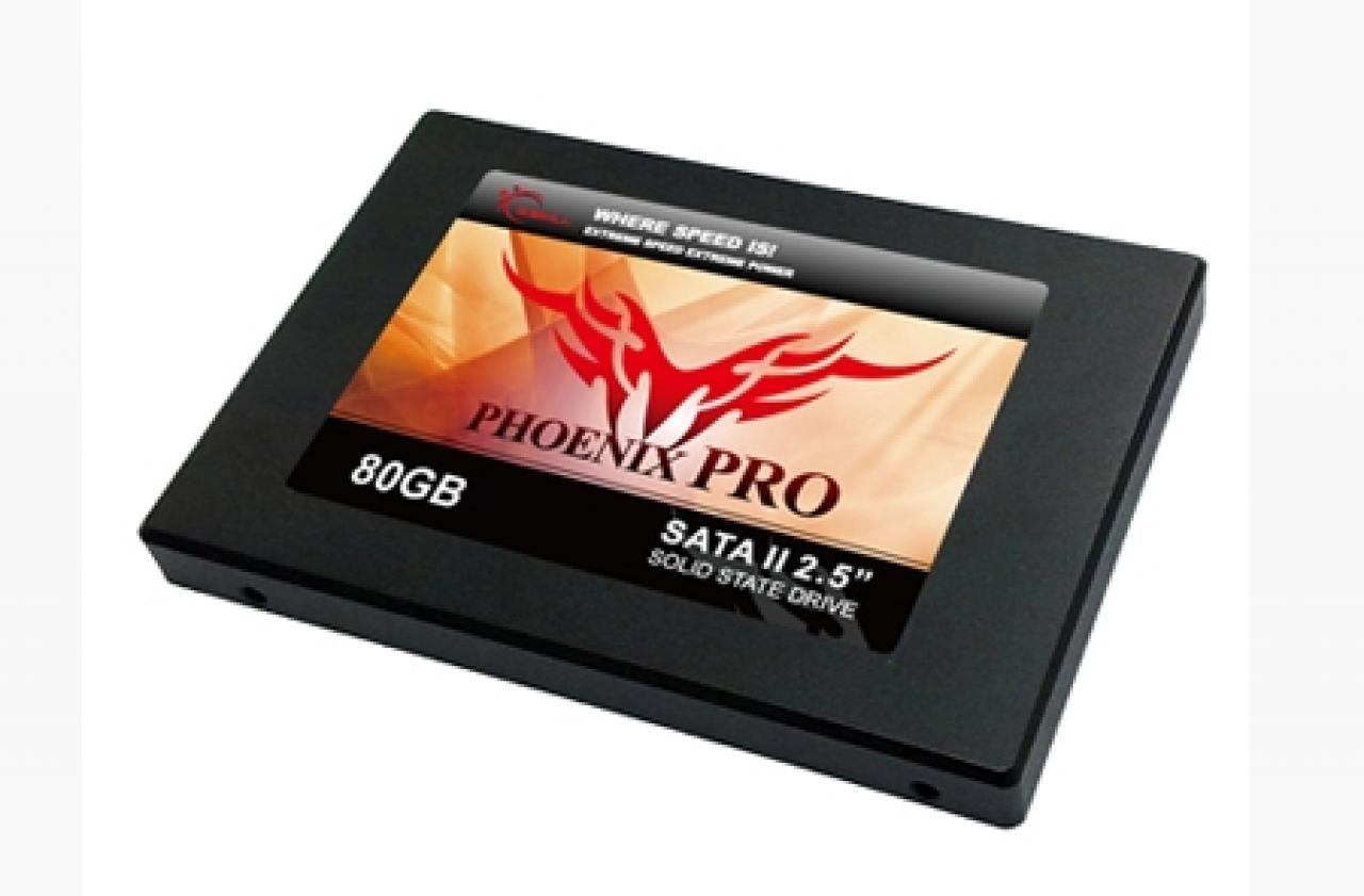 [13/01/2011] GSkill phoenix PRO