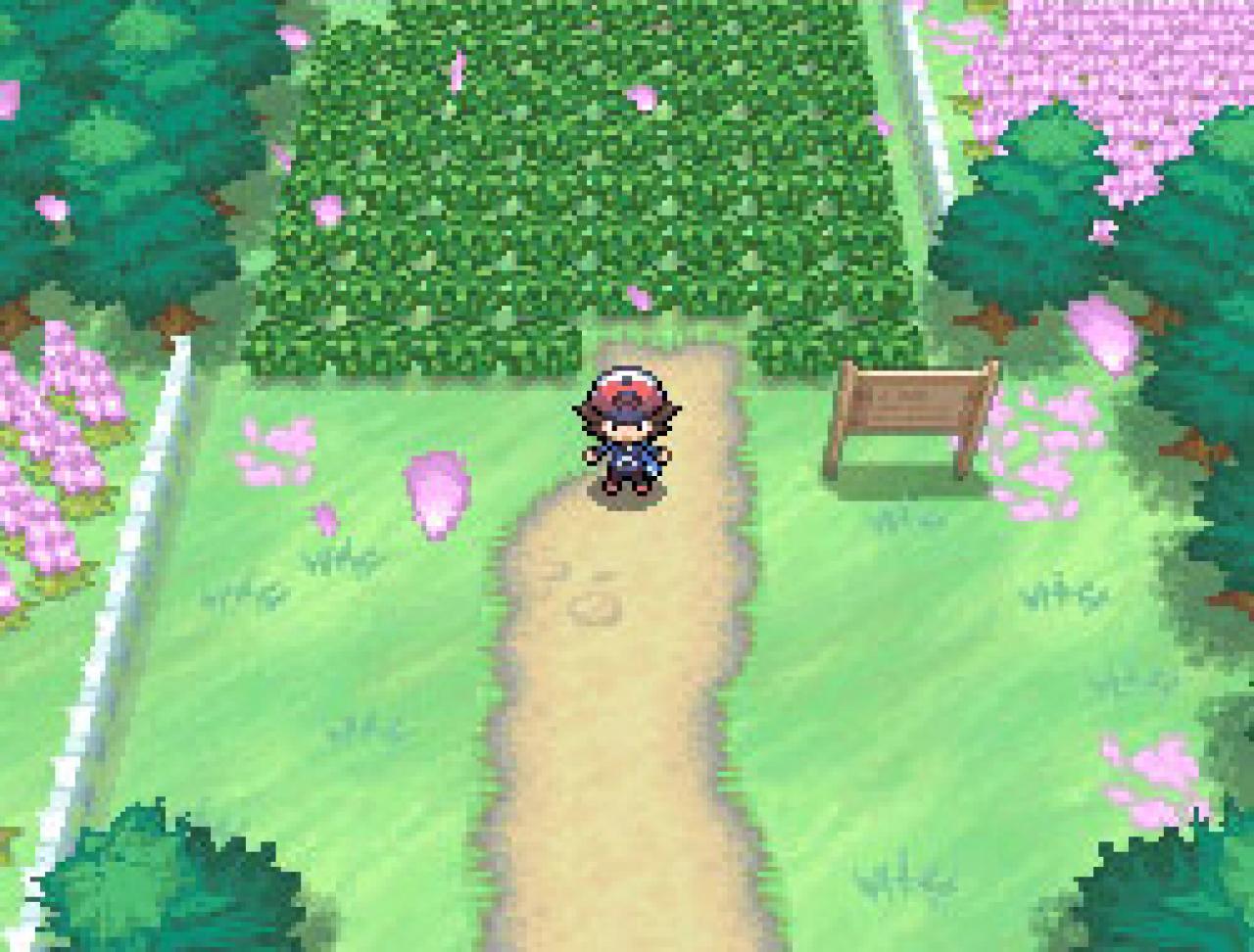 [01/02/2011] Auf dieser Seite unserer Pokémon Schwarz und Weiß Komplettlösung liefern wir euch Tipps zur Pokémonliga.