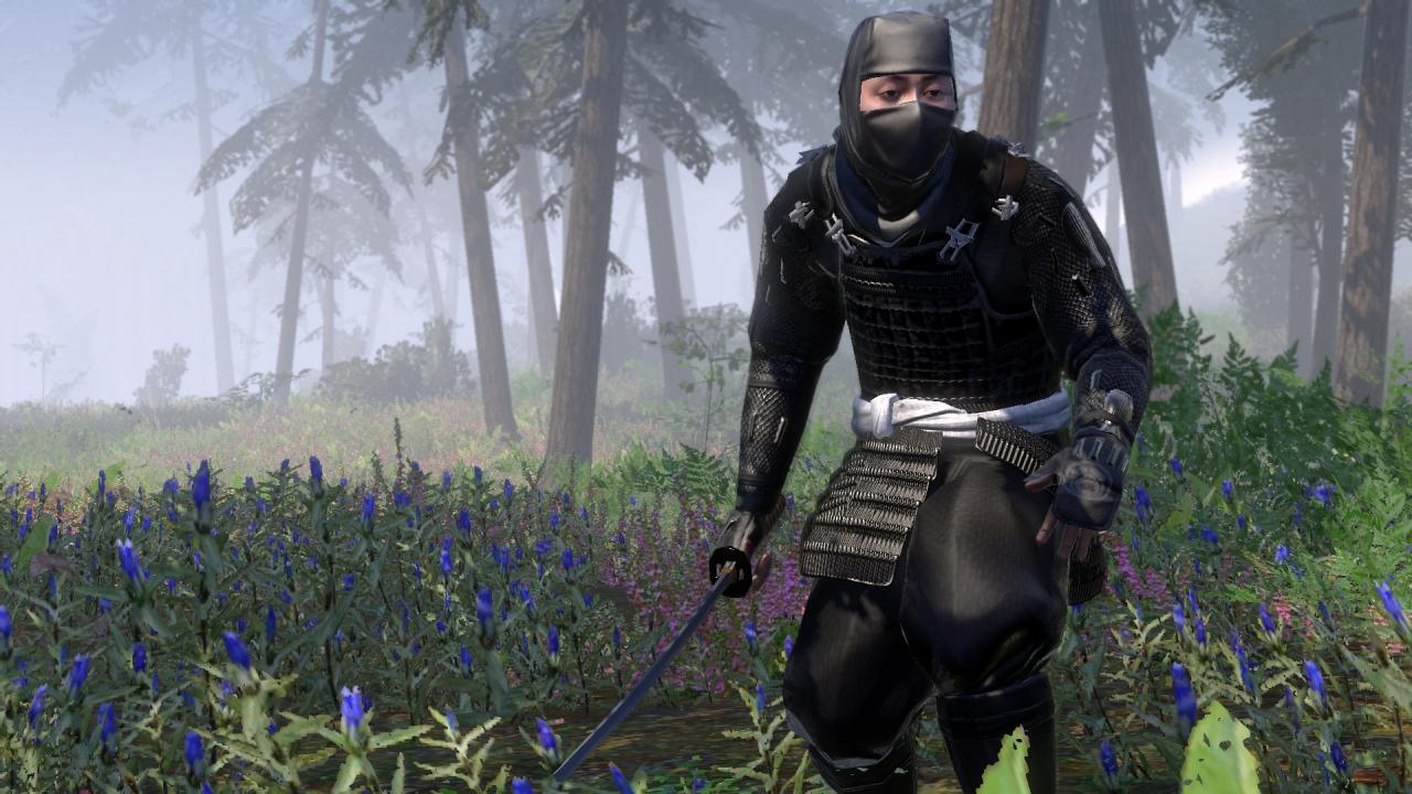 [02/02/2011] Der Ninja spielt eine wichtige Rolle in Total War: Shogun 2. Mit ihm können Sie ganze Armeen oder Städte sabotieren.