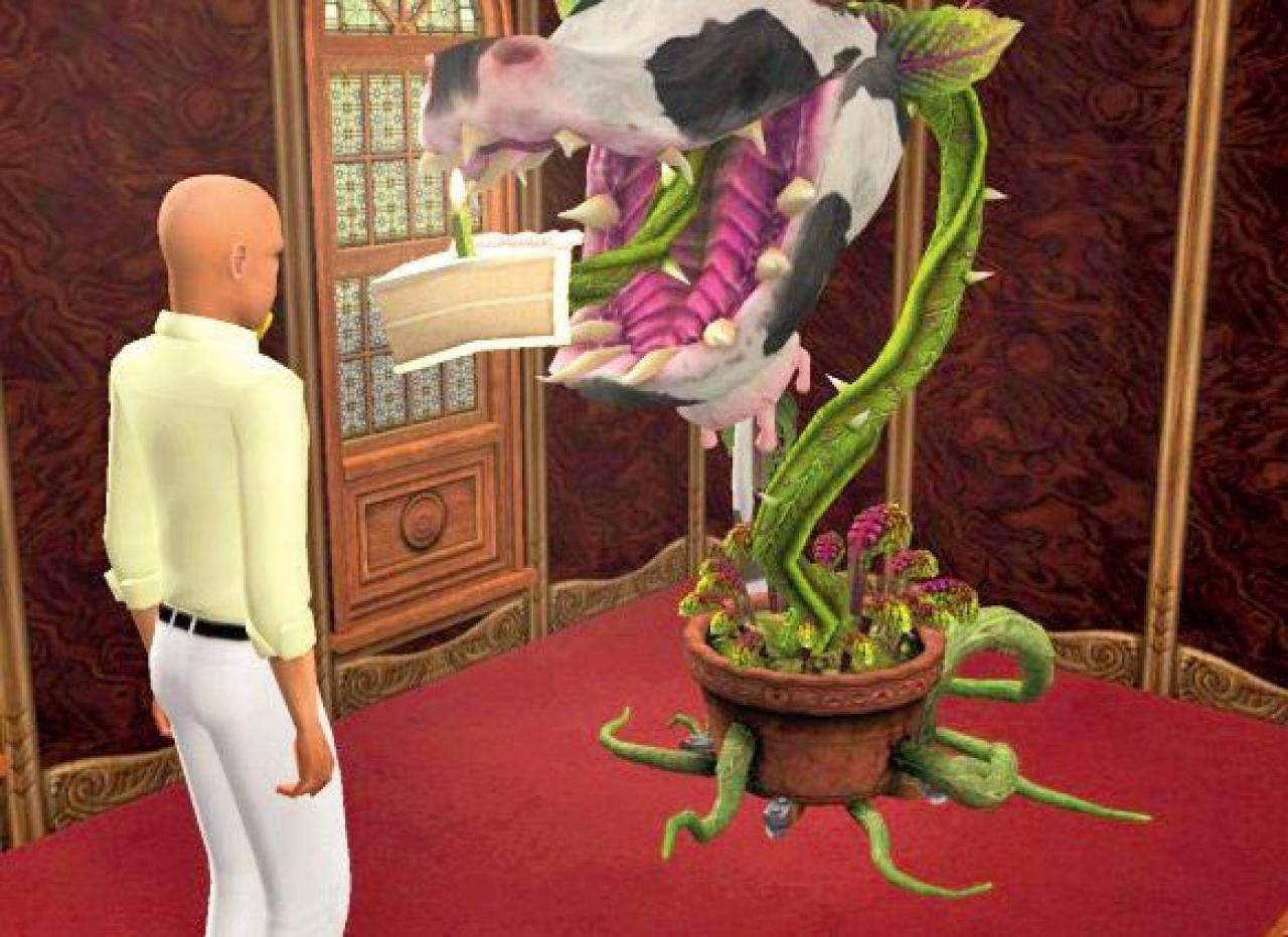 [28/04/2011] Ihr könnt die Sims nicht leiden? Dann sollte euch die Kuhpflanze aus Die Sims 2: Wilde Campus Jahre gefallen, die verspeist die virtuellen Persönlichkeiten nämlich gerne mal, auch wenn ihr eigentlicher Zweck darin besteht, ein Sekret zu produzieren, mit der sich das Leben der Sims verlängern lässt.