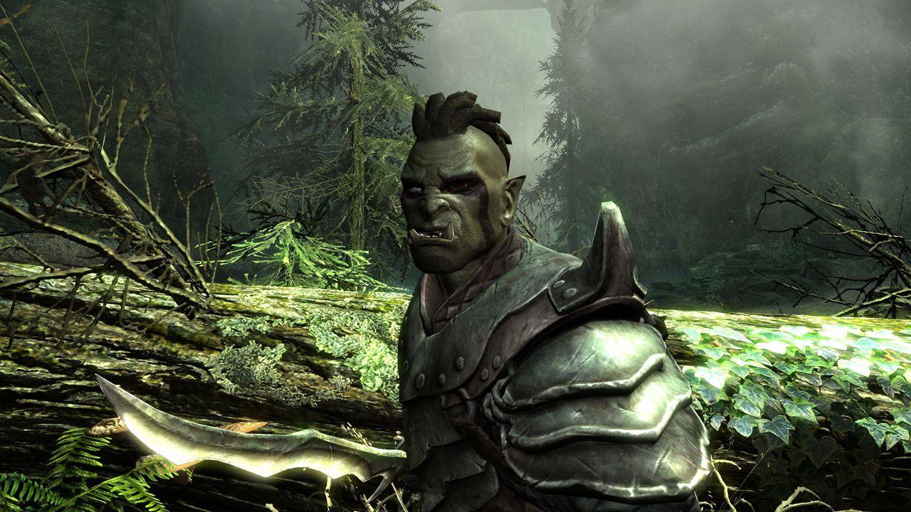 [24/07/2011] Die bisher veröffentlichten Screenshots zu TESV: Skyrim