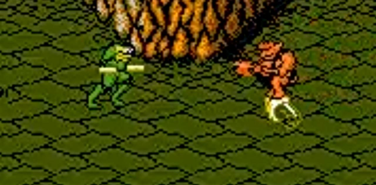 [14/07/2011] Battletoads landet knapp vor Contra. Der grüne Held bekommt 8,72 Prozent.
