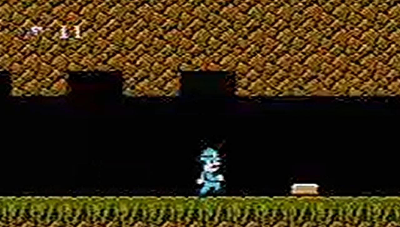[14/07/2011] Super Pitfall - 5,17 Prozent für den Helden, der Super Marios Zwillingsbruder sein könnte.