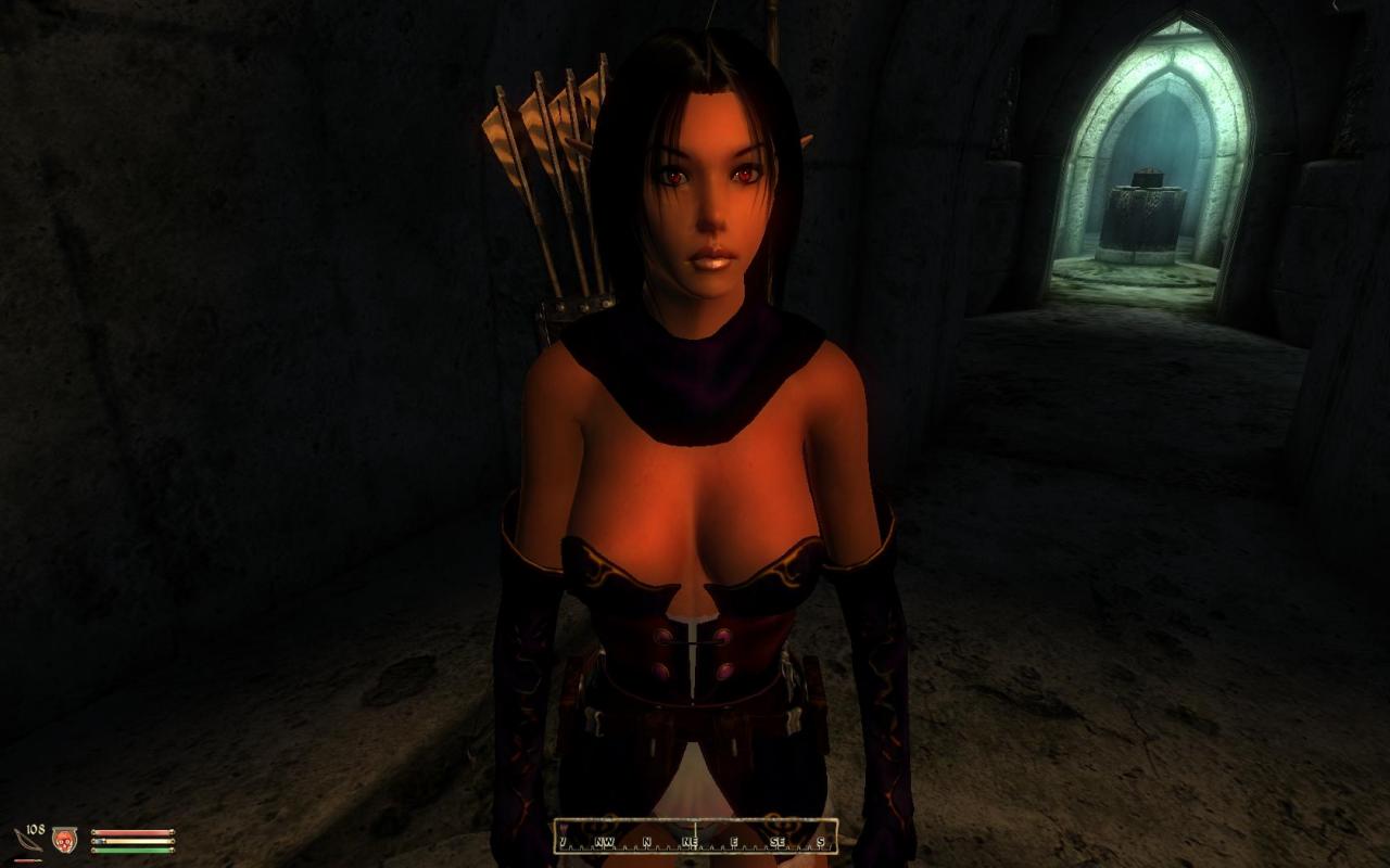 [21/09/2011] Neue Rassen: In der The Elder Scrolls-Welt gibt es bereits zahlreiche interessante Rassen. Dank Moddern werden aber immer mehr kreative Rassen hinzugefügt. Diese reichen von Halborks bis zu besonders ästhetischen Elfen. Da sollte auch in Skyrim für jeden Geschmack etwas dabei sein. (Bild: Oblivion-Mod Cute elves Race)
