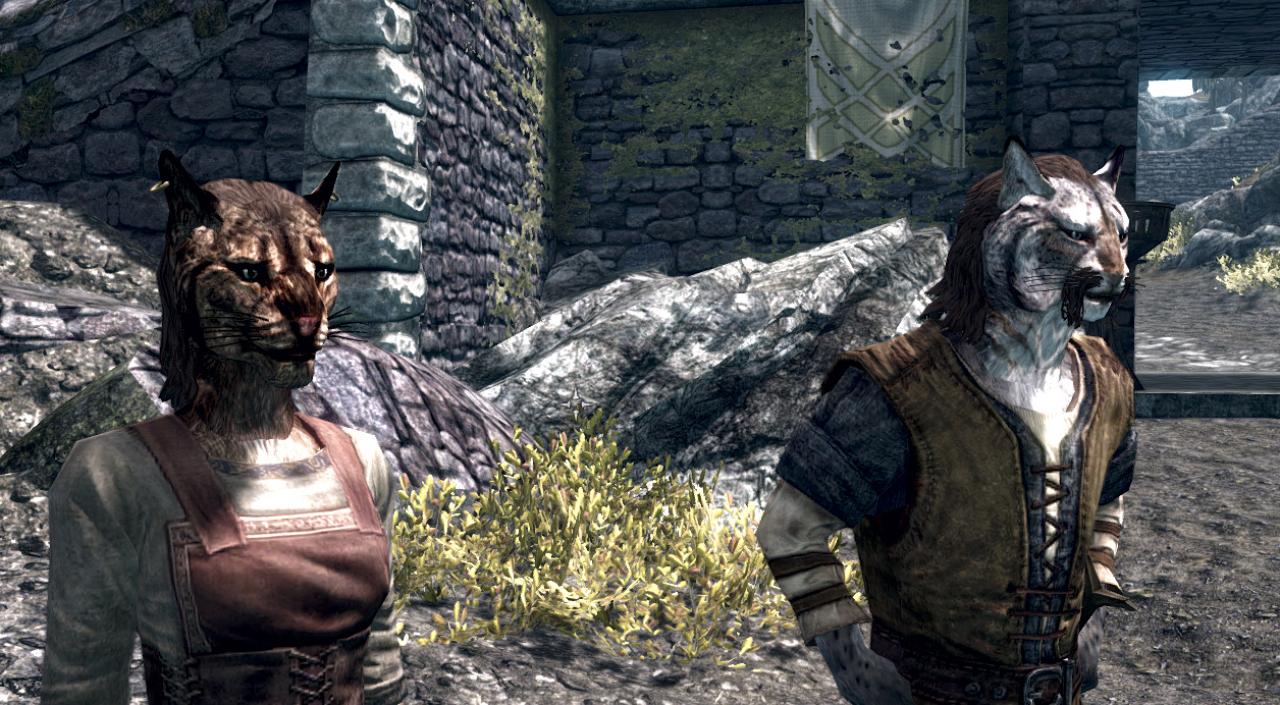 [26/11/2011] HD-Texturen für die Khajiit - neue Mod für Skyrim. (3)
