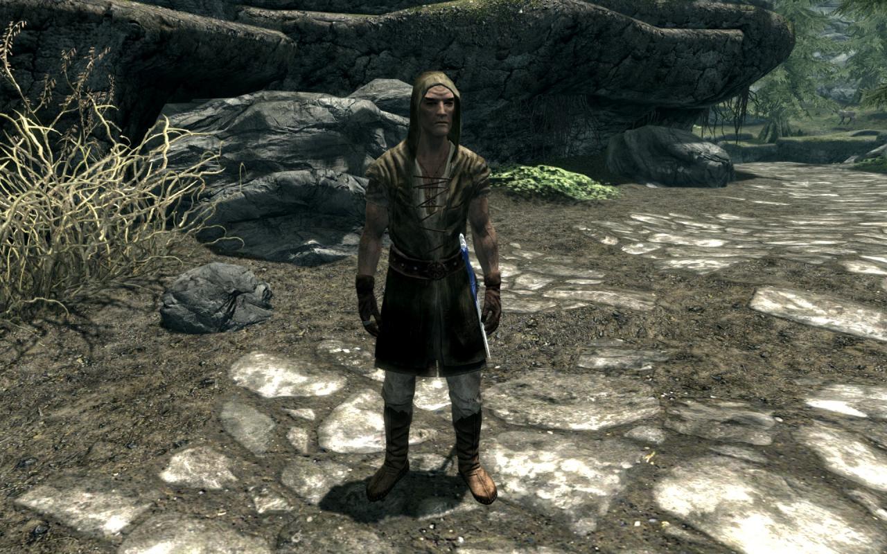 [19/11/2011] Link aus Zelda, jetzt per Mod auch in Skyrim. (1)