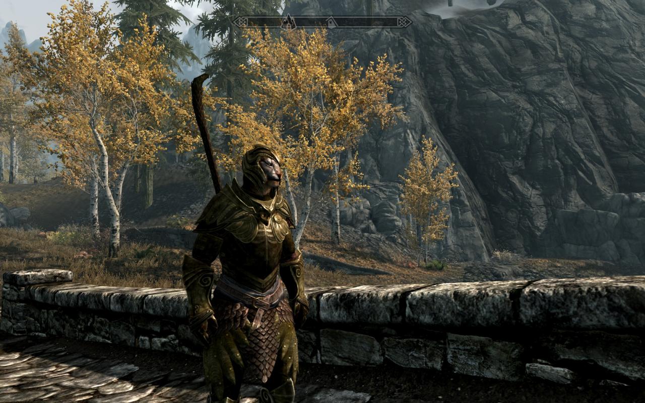 [16/11/2011] Skyrim: teils wunderschön, teils aber auch mit sehr schwachen Texturen. Ein PC für 700 Euro ist optimal.