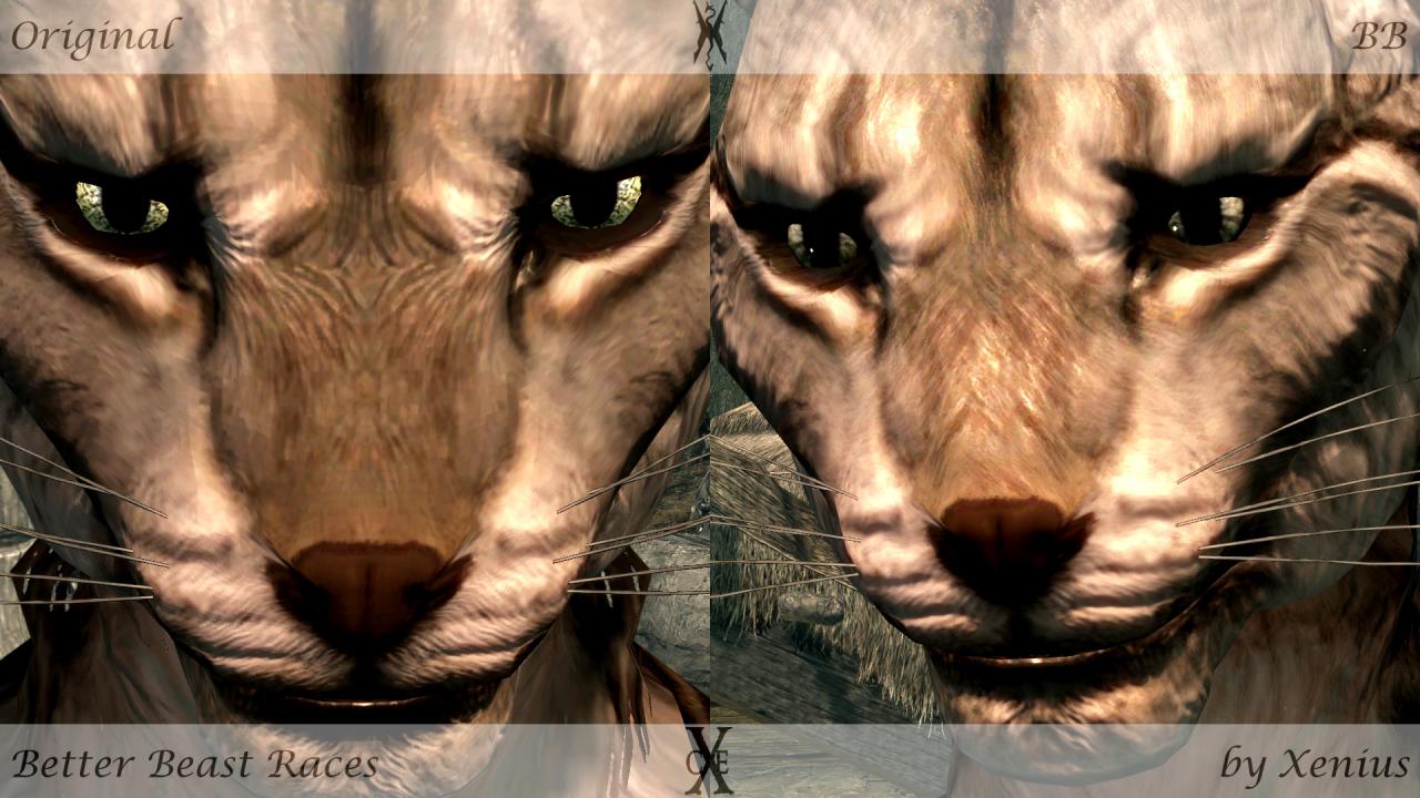 [28/11/2011] Mit dieser Mod sehen die Biest-Rassen in The Elder Scrolls 5: Skyrim gleich deutlich besser aus.