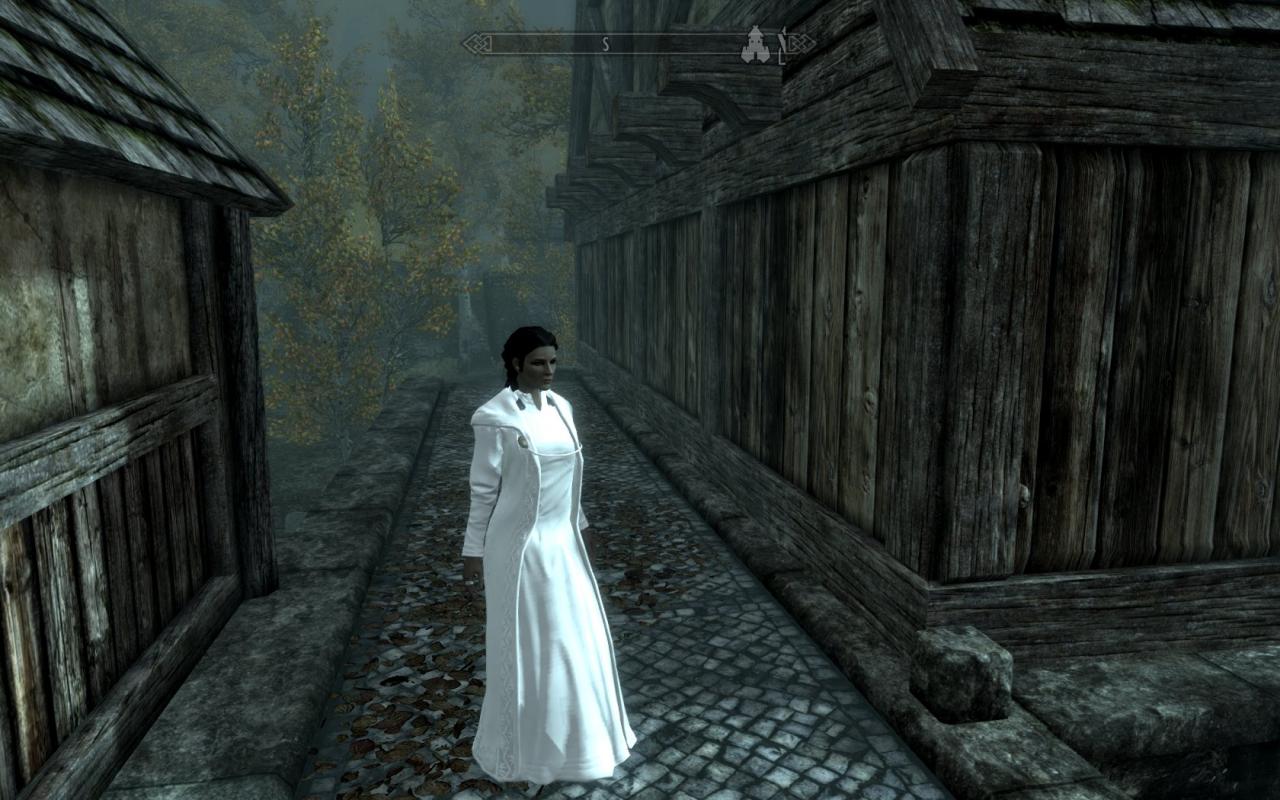 [30/11/2011] So lässt sich doch anständig heiraten. Das Hochzeitskleid für Skyrim ist gelungen.