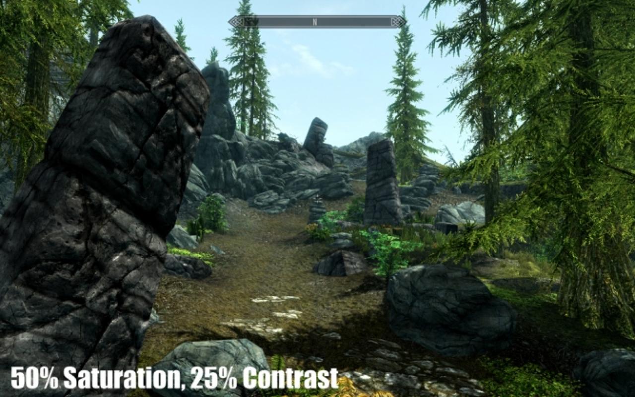 Skyrim mit Mod