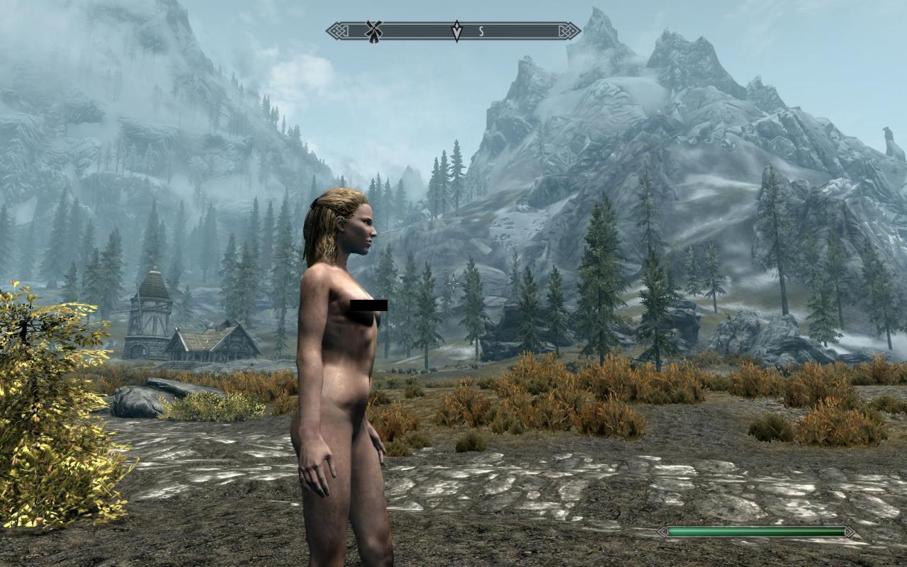 [15/11/2011] Bereits jetzt gibt es die erste Nude-Mod für das Rollenspiel The Elder Scrolls 5: Skyrim. (3)