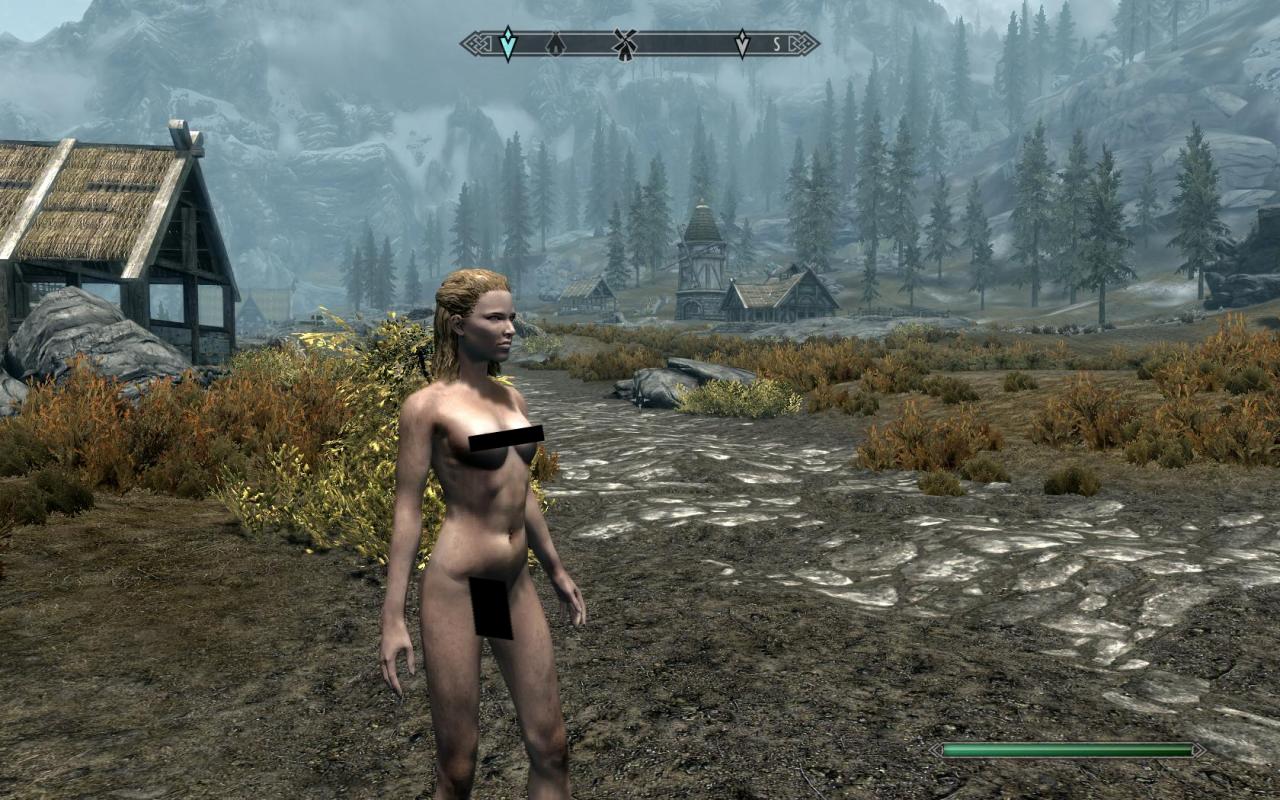 [15/11/2011] Bereits jetzt gibt es die erste Nude-Mod für das Rollenspiel The Elder Scrolls 5: Skyrim. (4)
