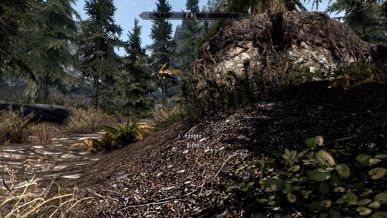 [10/11/2011] Trotz der Größe von Skyrim haben die Entwickler an viele Details gedacht. An manchen Baumstämmen erkennt man etwa Ameisenkolonnen, Bienen und Schmetterlinge lassen sich gar im Flug fangen. - Bild stammt aus der Xbox 360-Version von The Elder Scrolls 5: Skyrim.