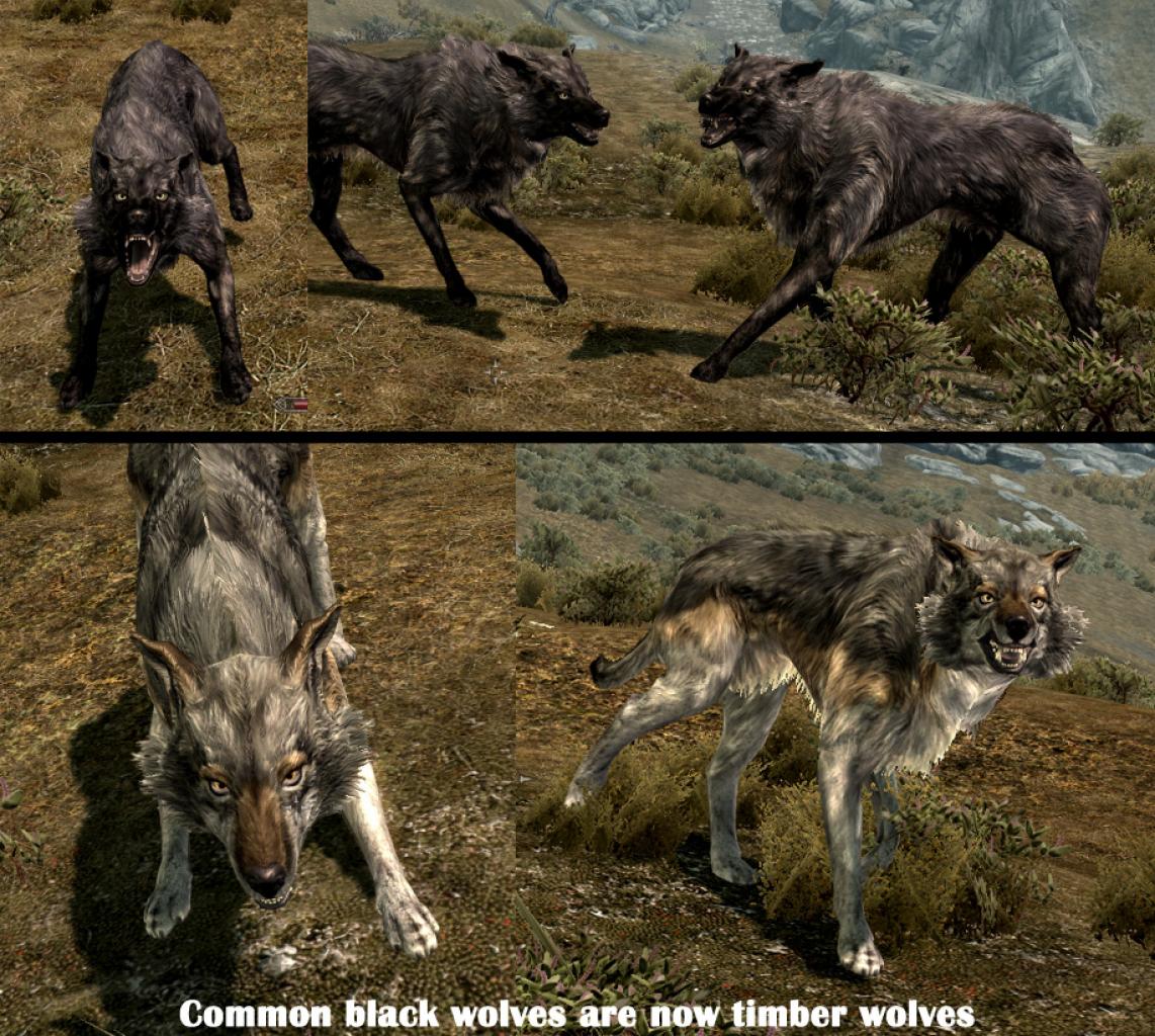 [28/11/2011] Hier seht ihr ein Beispiel für die neuen Wolfs-Texturen in Skyrim.