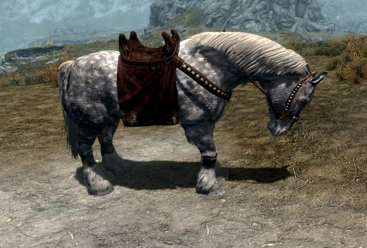 [12/12/2011] Skyrim-Mod: Alternate_Saddle.
