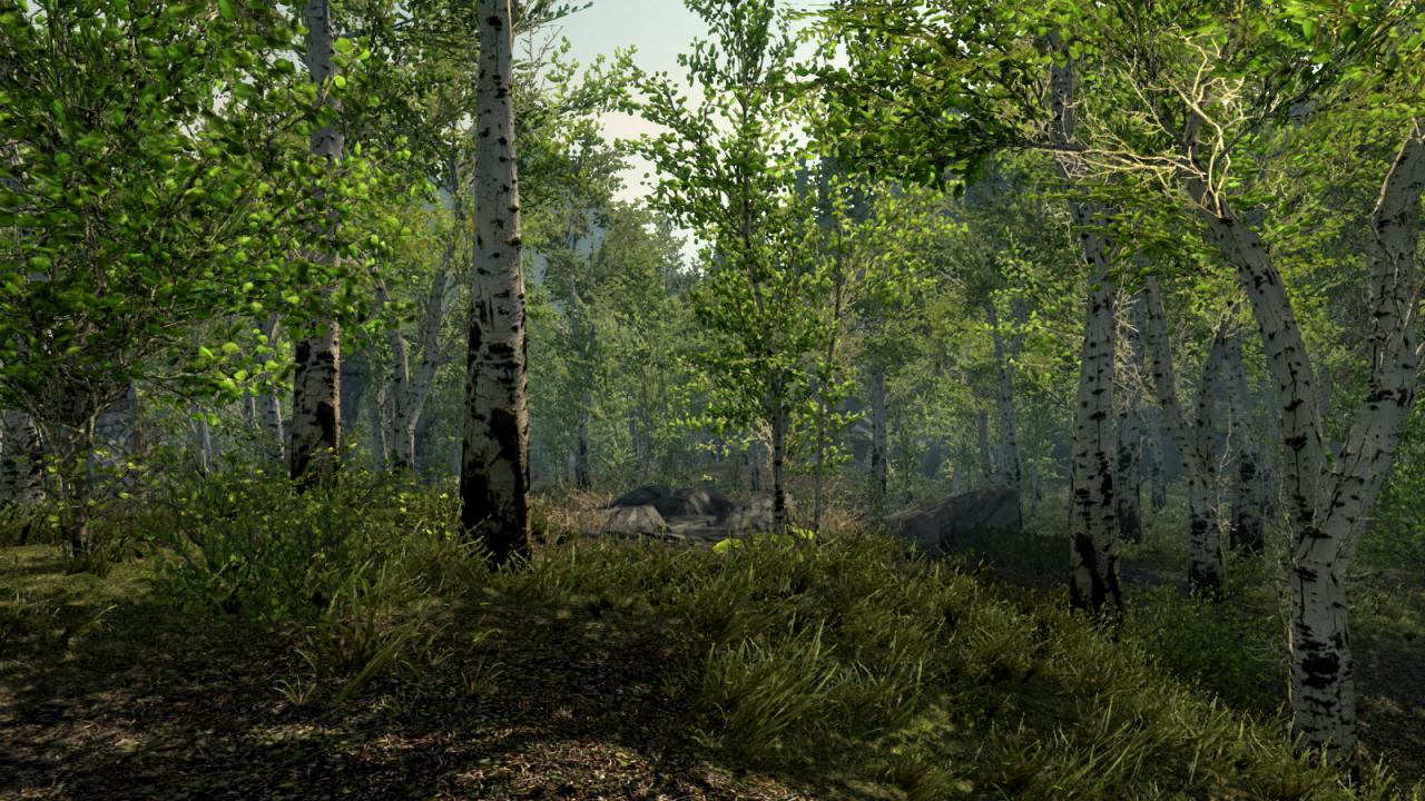 [06/12/2011] The Elder Scrolls: Skyrim versprüht zwar vielmehr den Charme von Herbst und Winter, doch wozu gibt es Modifikationen? Um die Stimmung des Fantasy-Rollenspiels nicht zu stark zu verändern, werden vor allem die gemäßigteren Zonen von Skyrim etwas sommerlicher inszeniert. Mods findet ihr auf Nexus zuhaus.