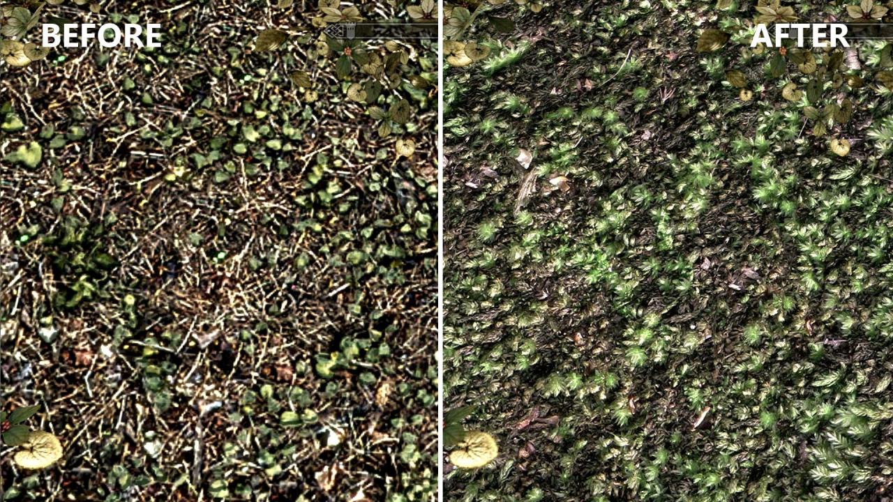 [01/12/2011] Die HD-Texturen für Skyrim sorgen für eine bisher nicht gekannte Terrain-Qualität.