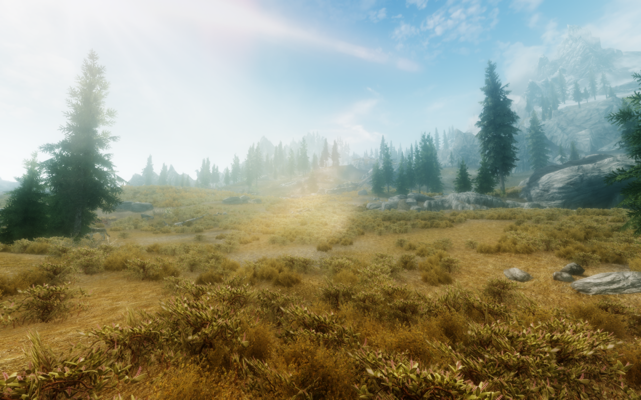 [30/12/2011] Hier zeigen wir euch verschiedene Screenshots aus Skyrim. Das Rollenspiel erschien am 11. November 2011. (5)