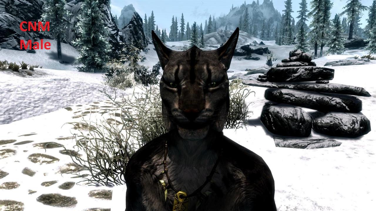 [27/12/2011] Mit den verbesserten Texturen sehen die Khajiit gleich besser aus.