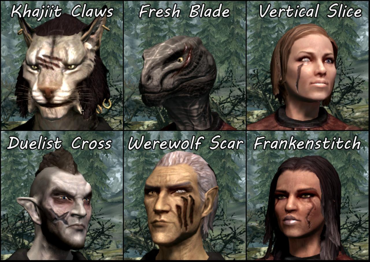 [02/12/2011] Die neuen Wunden für Skyrim sehen deutlich besser aus als die Originale.