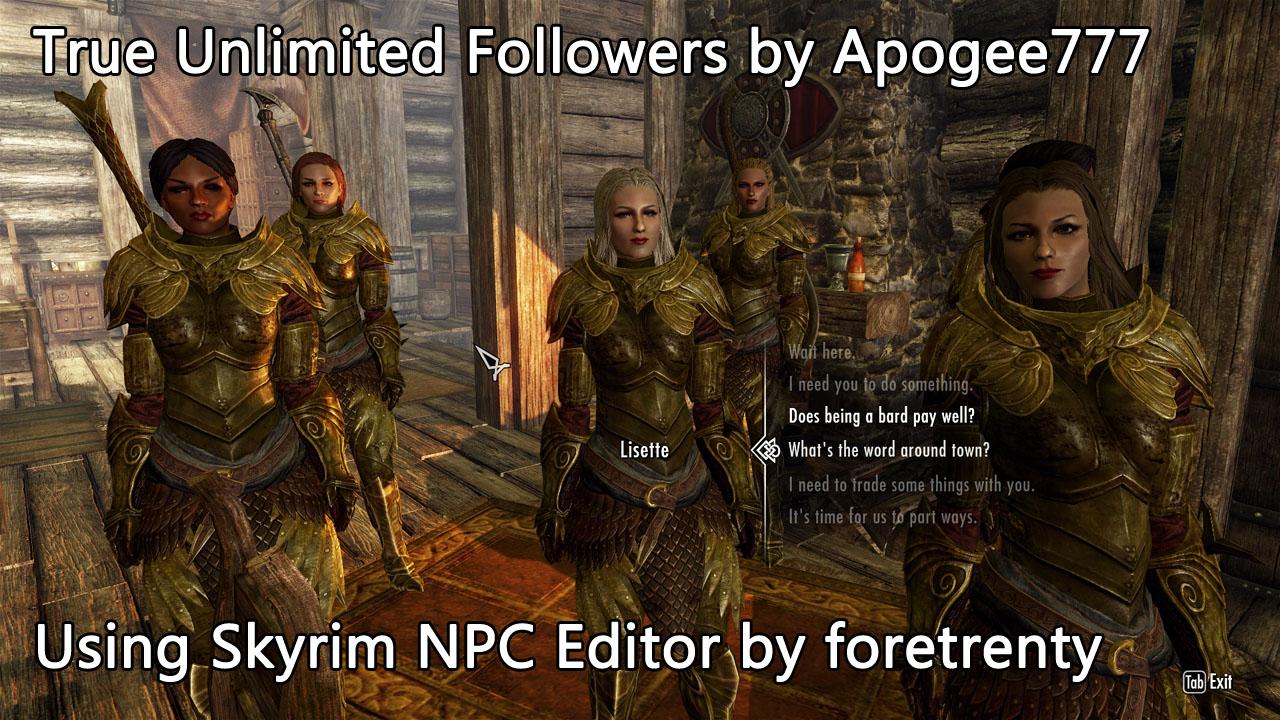 [27/12/2011] True Unlimited Followers für Skyrim sorgt für mehr Begleiter.