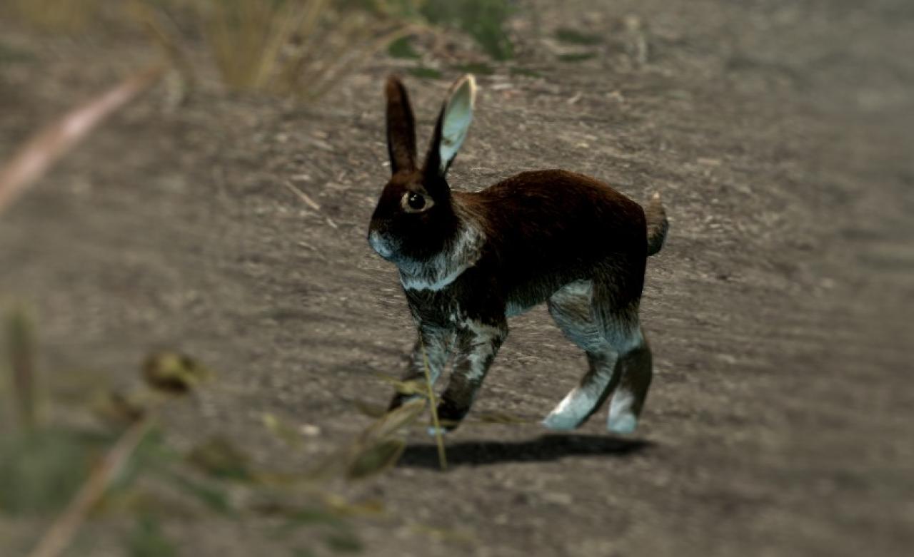 [11/01/2012] HD-Hasen in Skyrim? Mit dieser Mod ist das durchaus möglich.
