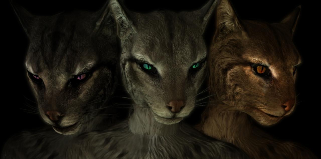 [16/01/2012] Mit dieser Mod sehen eure Khajiits in Skyrim gleich deutlich besser aus.