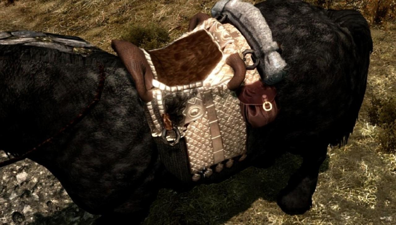 [10/01/2012] So lässt's sich's aushalten. Die neuen Sättel für Skyrim sehen sehr gut aus.