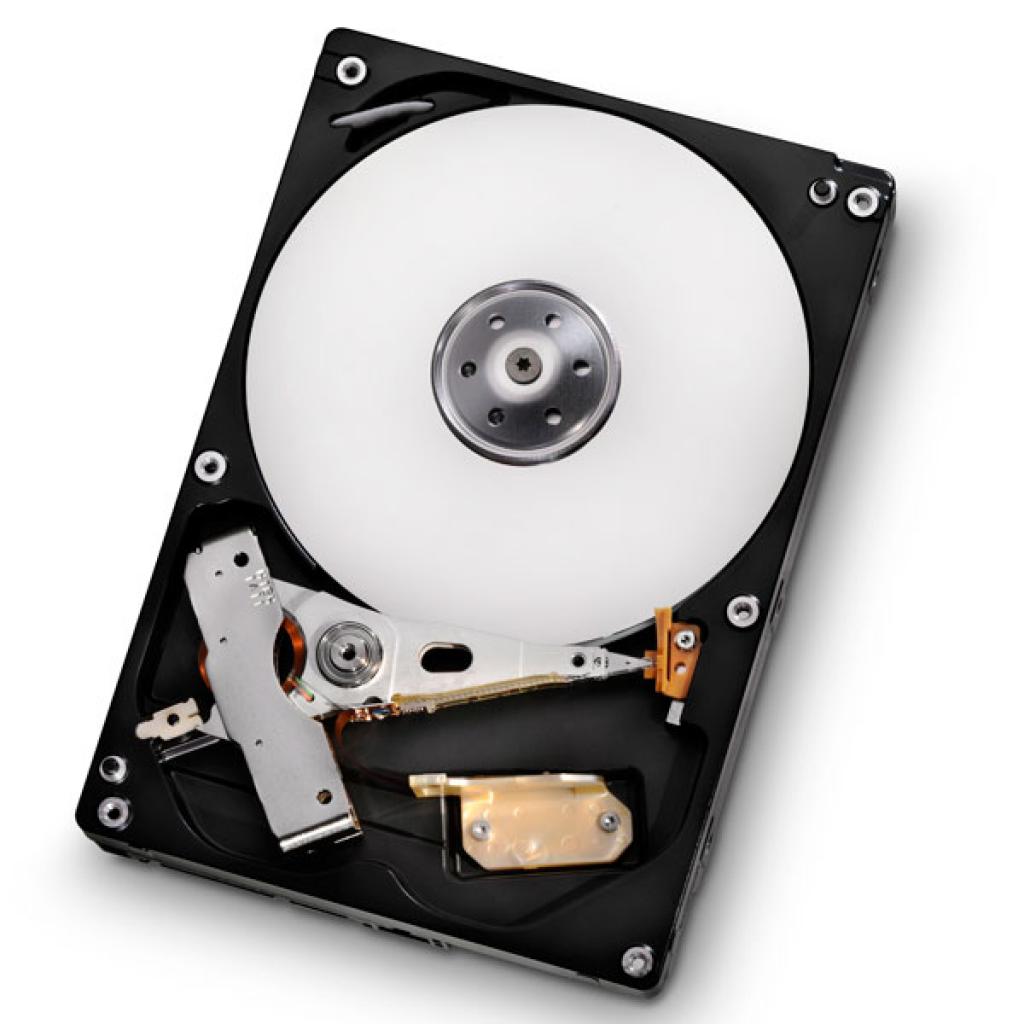 [20/04/2012] Hitachi Deskstar 1000GB