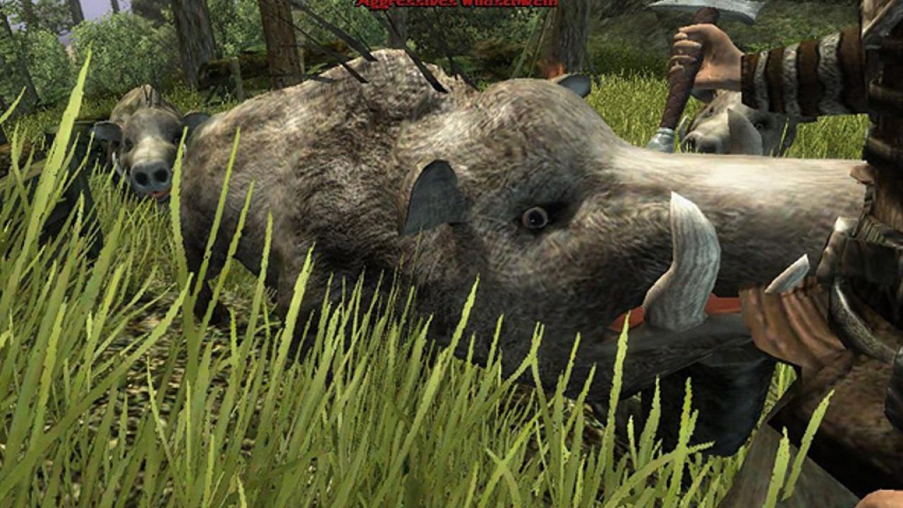 [28/08/2012] (Leservorschlag) - Wildschweine (Gothic 3) - Es ist kaum zu glauben, aber wahr: Die Wildschweine aus Gothic 3 machen uns mehr Angst als Drachen, Oger und Minecrawler zusammen. Die flinken Biester führen ihre Attacken nämlich ohne Pause aus - und zwar solange, bis ihr tot am Boden liegt. Glücklicherweise schafft ein Patch Abhilfe. 