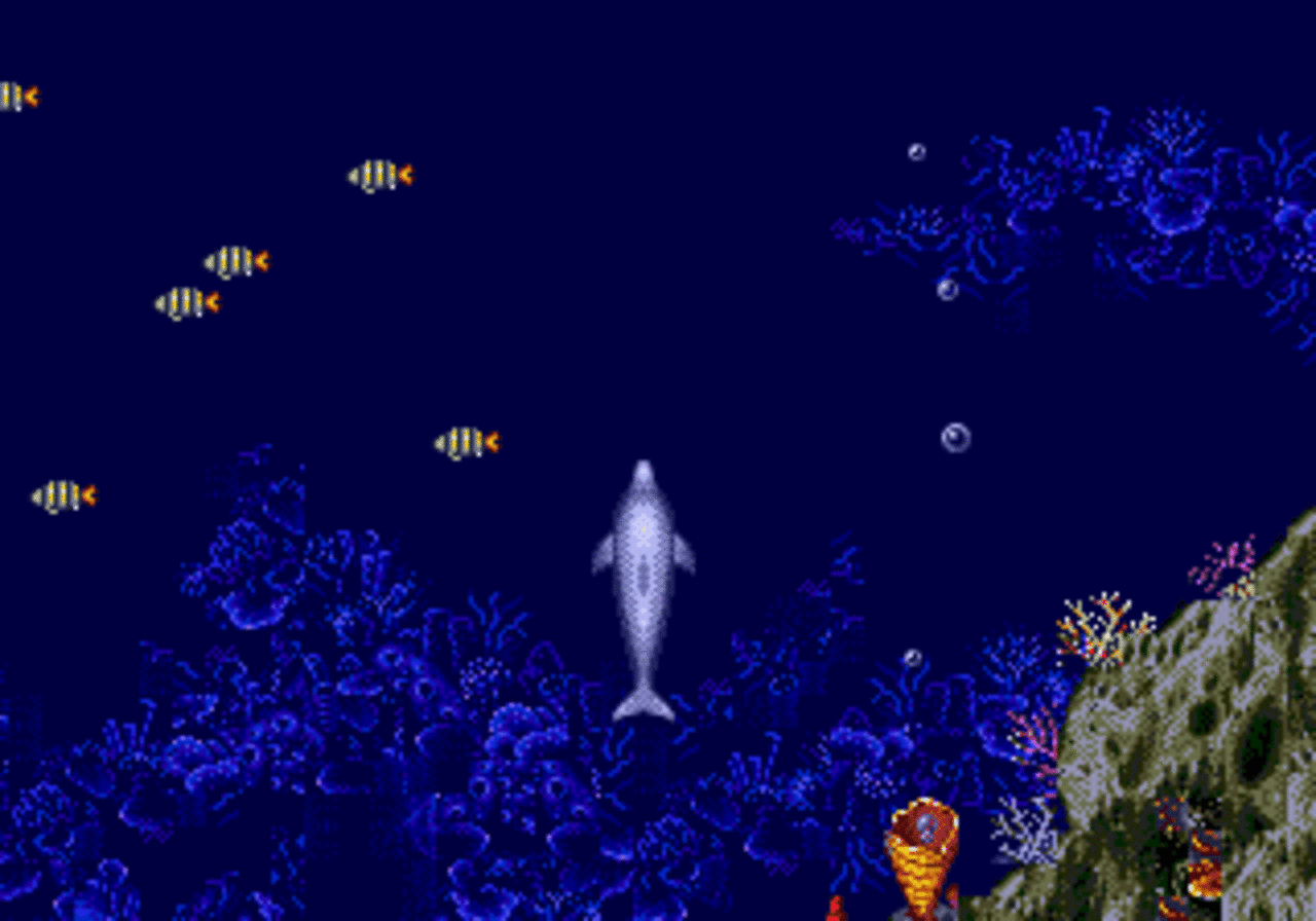[03/09/2012] Ecco The Dolphin dürfte auch heute noch einigen Spielern bekannt sein. In Zusammenarbeit mit einem Londoner Aquarium, die einen Delphin namens Ecco besaßen, wurde ein Box Set veröffentlicht, dass heute bis zu 1300 Dollar einbringt.