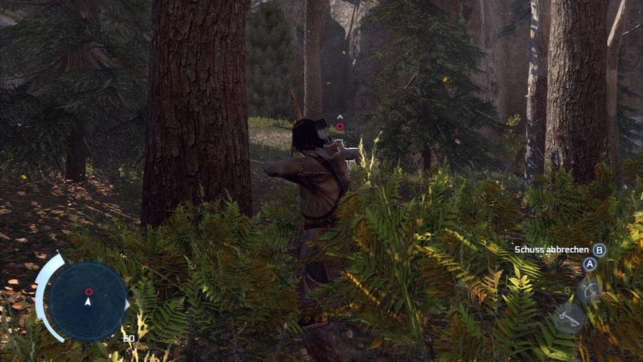 [31/10/2012] Bild zu unserer Komplettlösung von Assassin's Creed 3.