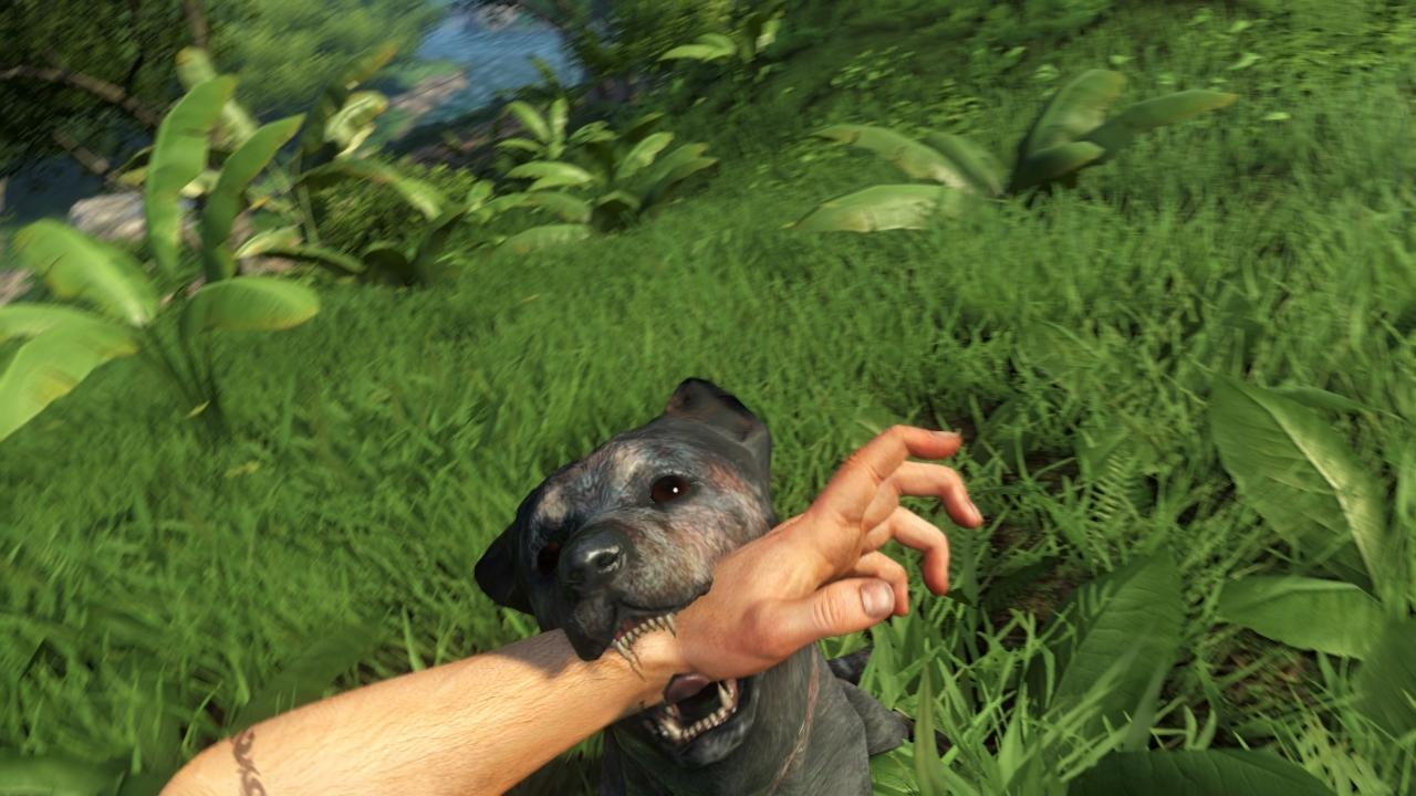[21/11/2012] Schon zum Release sind für Far Cry 3 zwei DLCs mit Nebenquests erhältlich. Die fügen der Hauptgeschicht aber nichts hinzu und sind daher optional - das Spiel hat auch ohne die DLCs viel Biss.