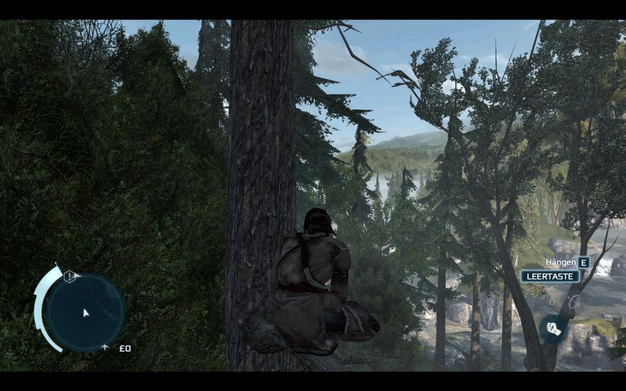 [20/11/2012] Screenshot aus der PC-Version von Assassin's Creed 3. (10)