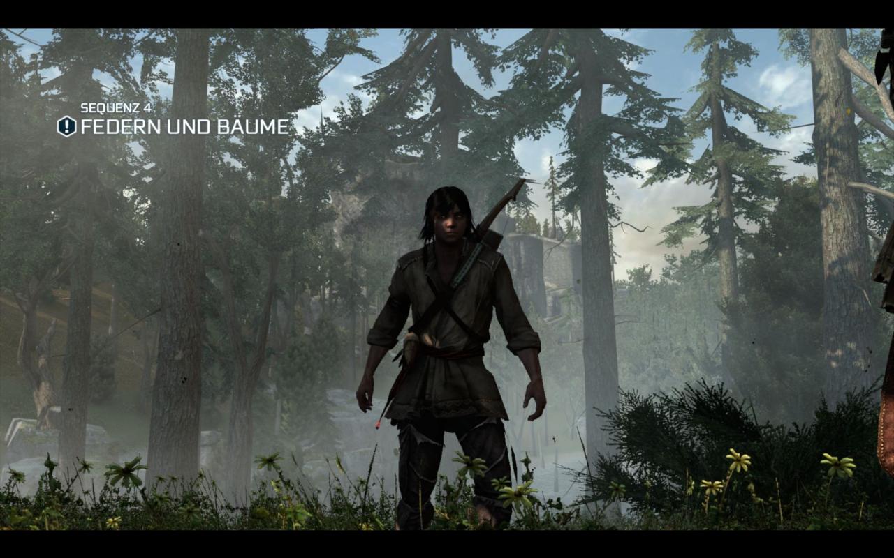 [20/11/2012] Screenshot aus der PC-Version von Assassin's Creed 3. (13)