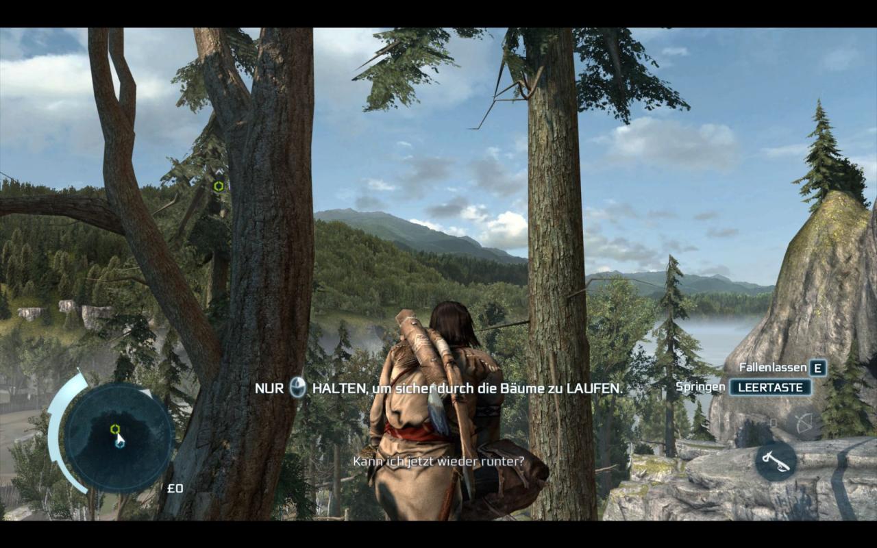 [20/11/2012] Screenshot aus der PC-Version von Assassin's Creed 3. (14)