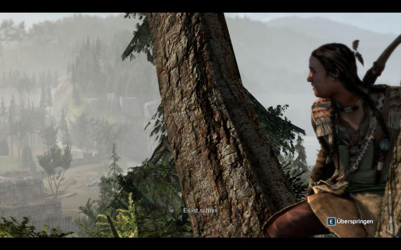 [20/11/2012] Screenshot aus der PC-Version von Assassin's Creed 3. (15)