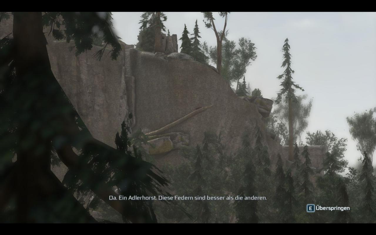[20/11/2012] Screenshot aus der PC-Version von Assassin's Creed 3. (16)