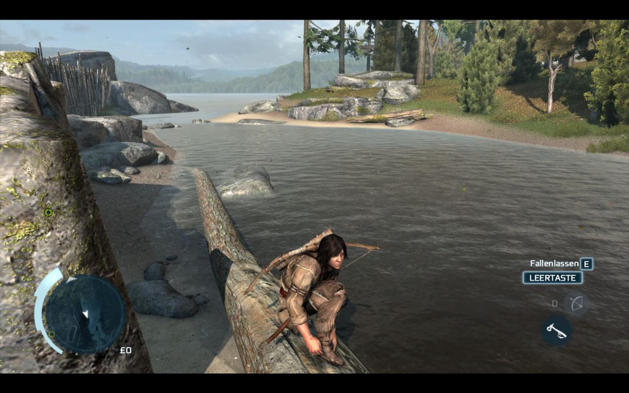 [20/11/2012] Screenshot aus der PC-Version von Assassin's Creed 3. (2)