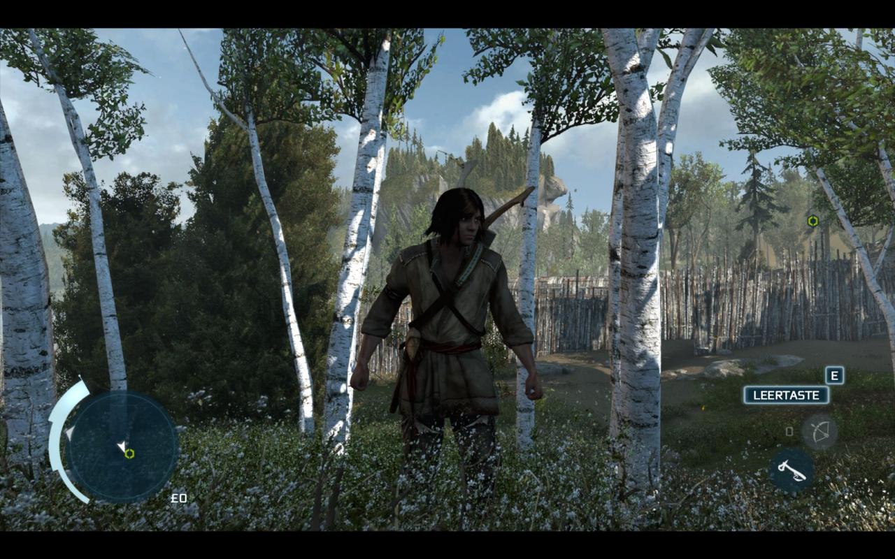 [20/11/2012] Screenshot aus der PC-Version von Assassin's Creed 3. (3)