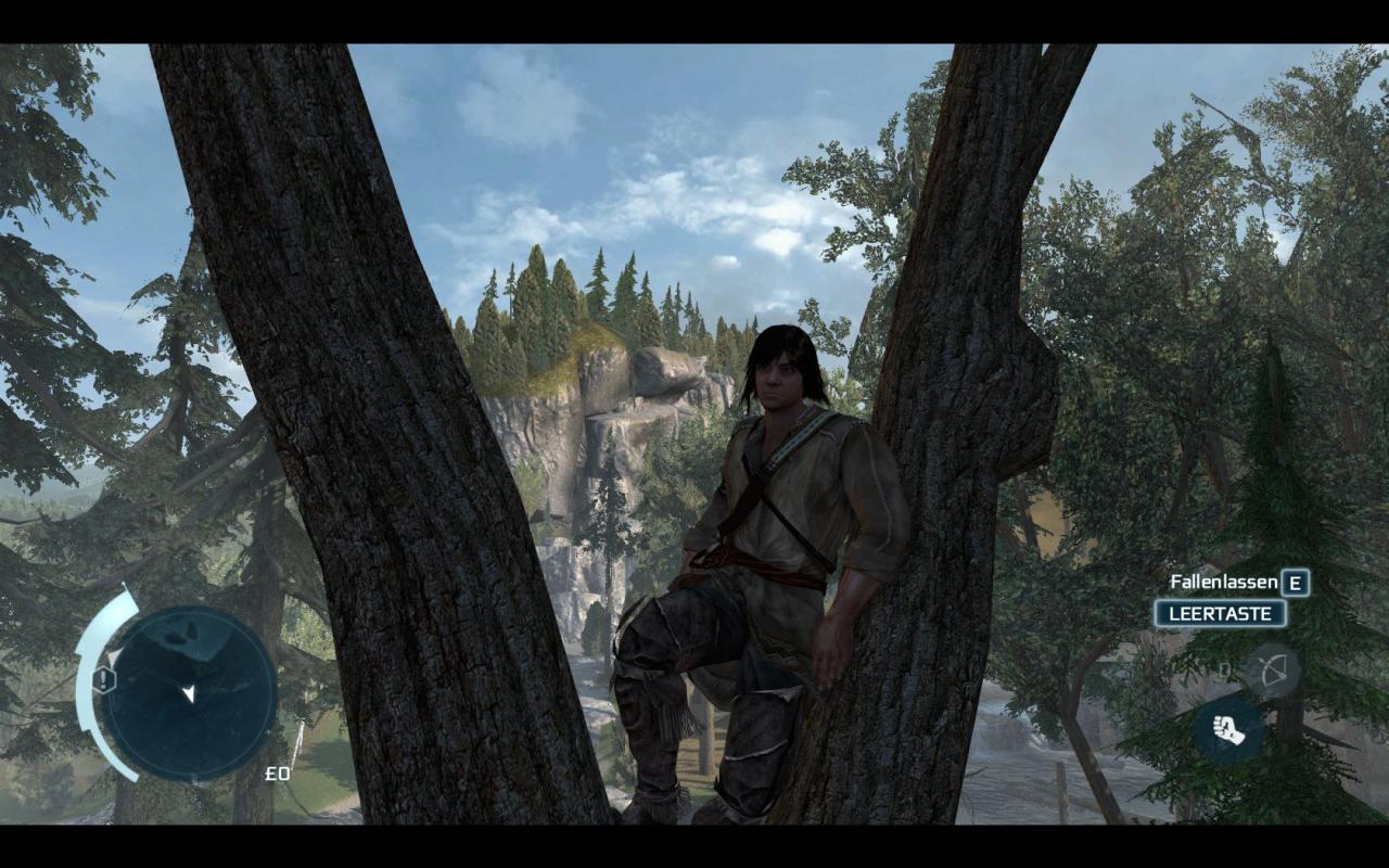 [20/11/2012] Screenshot aus der PC-Version von Assassin's Creed 3. (9)