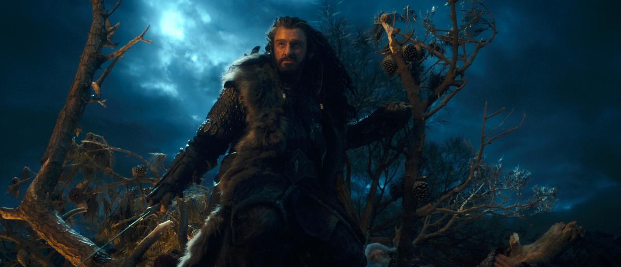 [09/11/2012] Der Hobbit: Eine unerwartete Reise in der Filmkritik (6)