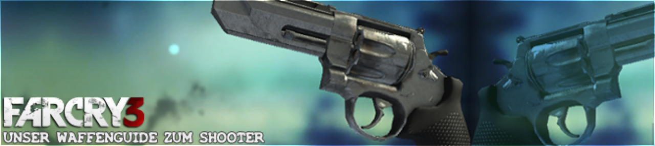 [25/11/2012] Waffe: .44 Magnum