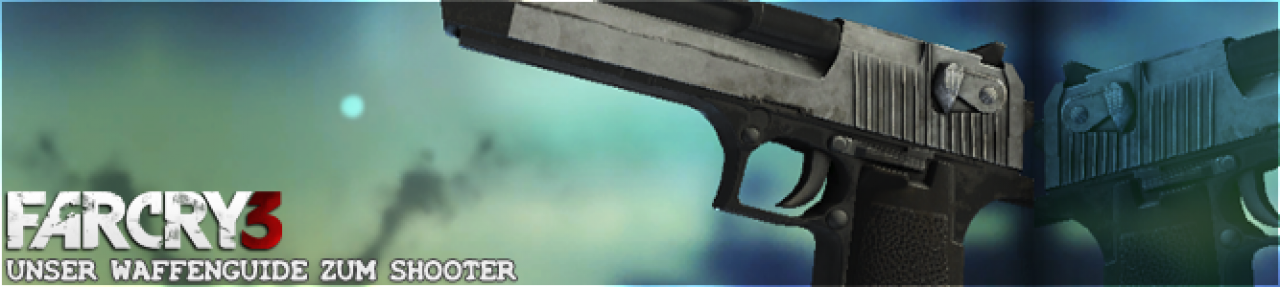 [25/11/2012] Waffe: D50