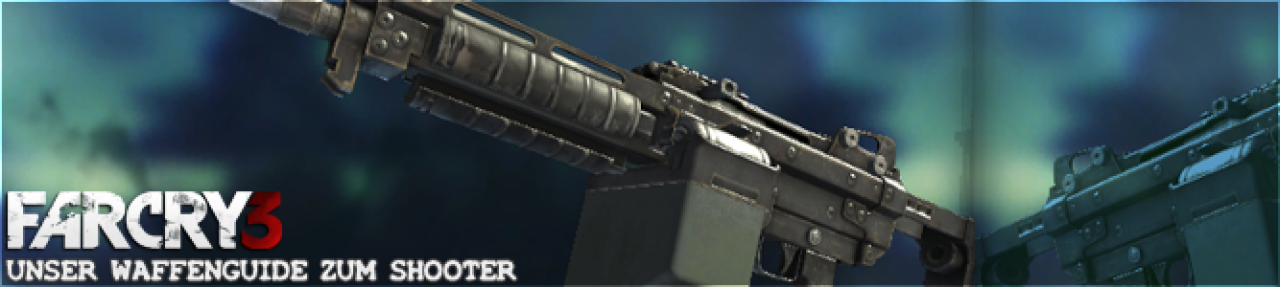 [25/11/2012] Waffe: MKG