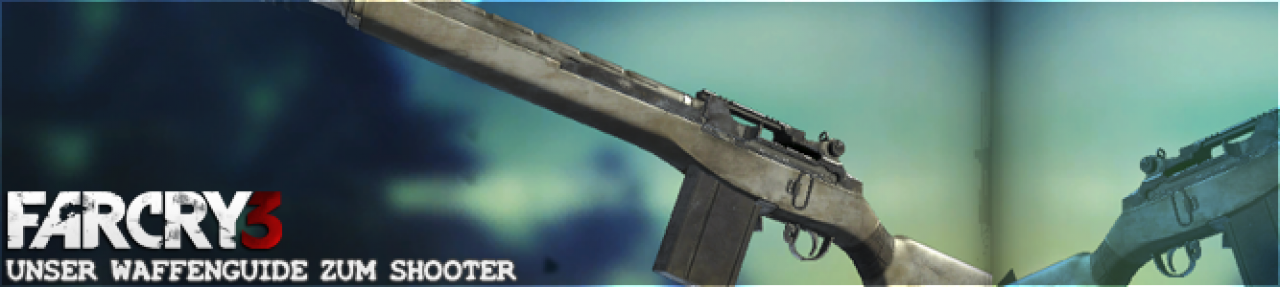 [25/11/2012] Waffe: MS16